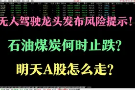 无人驾驶龙头发布风险提示！石油煤炭何时止跌？明天A股怎么走？视频封面