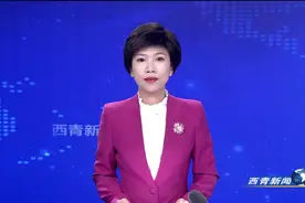 西青区召开政法系统2023年政治督察和纪律作风督查巡查动员部署会视频封面