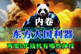 东方大国利器，两架6代战机神技揭秘视频封面