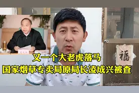 靠烟吃烟，卸任五年后被查，国家烟草专卖局原局长凌成兴被逮捕视频封面