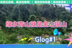 片头片尾的反差，看看“坑”，你就理解了“老子天下第一”视频封面