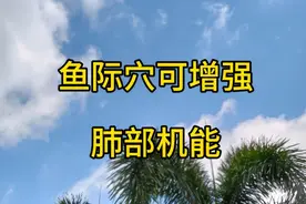 每天坚持按揉鱼际穴  具有增强肺部机能 止咳平喘的作用