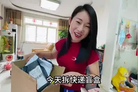 买12个快递盲盒，拆出来一堆东西，感觉花200块被上了一课视频封面