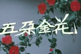 电影《五朵金花》的诞生及拍摄背后的精彩故事视频封面