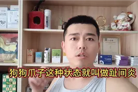 狗狗爪子这种状态就叫做趾间炎 @中视频伙伴计划官号视频封面