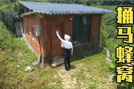 冬爸全副武装去捅马蜂窝，结果被蛰好几个包，也是前所未有的体验视频封面