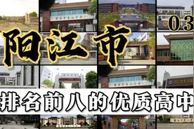 第3集|阳江市排名前八的优质高中视频封面