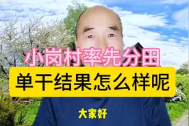 小岗村率先分田单干，结果怎么样呢？视频封面