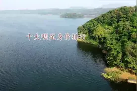 十大明星身价排行，赵薇已达80亿，在看看其他都是多少？视频封面