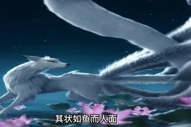 山海经中的九尾狐为何从祥瑞沦为妖邪？视频封面