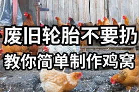 废旧轮胎不要扔，教你简单制作鸡窝视频封面
