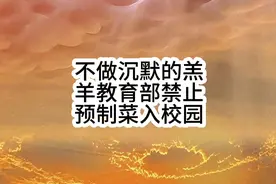 教育部联合央媒发声了，预制菜禁止进入校园，不做沉默的羔羊…视频封面