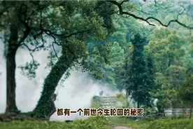 人的前世今生，每个人都有前世，看看你的前世是位将军还是富豪视频封面