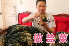 吃不完的芥菜不要丢，小伙教你做盐菜，晒干发酵2个月，又脆又香视频封面