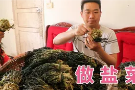 吃不完的芥菜不要丢，小伙教你做盐菜，晒干发酵2个月，又脆又香视频封面