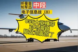 听蚕音电子信息战（8）中段 055大驱横穿对马海峡脚盆鸡都震惊了视频封面