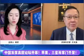 中国发展高层论坛开幕！苹果、三星等掌门齐聚！视频封面