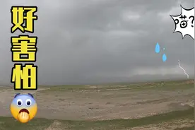 暴雨来袭，电闪雷鸣，坏冬子在车里坐立不安，怕被雷劈了视频封面
