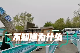 不知道为什么   让我遇见了你   在那个阳光明媚的春天里视频封面