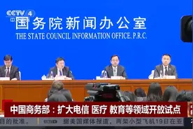 中国商务部：扩大电信 医疗 教育等领域开放试点视频封面