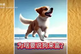 为啥说狗来富，猫来头顶戴白布？”🐾🏖️视频封面