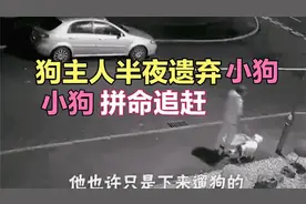 狗主人半夜开车到很远遗弃小狗，小狗不舍拼命追赶，监控实拍视频封面