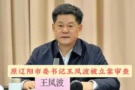曾当过12年杂技演员｜原辽阳市委书记王凤波被查视频封面