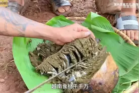 快@你的冤种兄弟吧视频封面