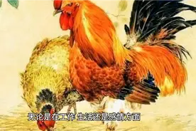 属鸡的今年有桃花运吗？视频封面