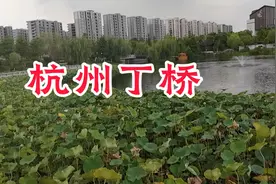 杭州丁桥，现在发展越来越好了，但是也有遗憾视频封面
