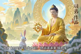 生肖兔2025年风生水起！财运滚滚来、接不接视频封面
