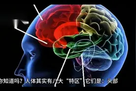 人体有八大保健“特区” 有效刺激可抗衰视频封面