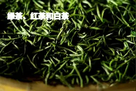 绿茶与红茶白茶的不同营养视频封面