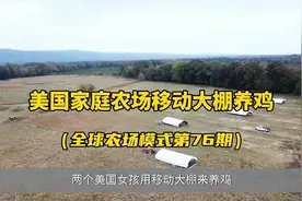 美国家庭农场移动大棚养鸡模式，两个女孩轻轻松松养几千只鸡视频封面