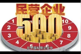 中国民营企业的辉煌成就，500强企业一览视频封面