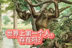人不可能凭空出现，那世界上第一个人究竟是如何诞生的？视频封面