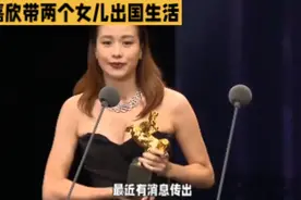 “林嘉欣袁剑伟离婚，不要忽略了两个孩子的成长与幸福视频封面