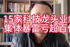 15家科技龙头企业业绩集体暴雷，科技行情是否延续？视频封面