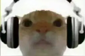 小猫表情包视频封面