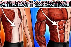 体脂很低，为什么还没有腹肌？视频封面