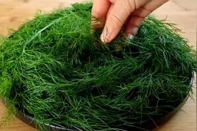夏天要多吃茴香，教你从没吃过的做法，比饺子简单比馅饼营养，香视频封面
