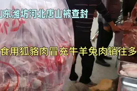 禁食用狐貉肉冒充牛羊兔肉销往多地视频封面