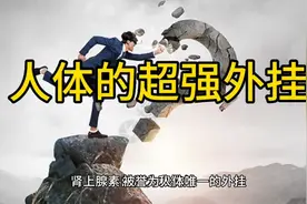 肾上腺素—人体唯一的外挂，有时他能为你带来超越自身极限的可能视频封面