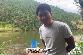 小伙投资4万元进山养鱼，一条40斤的青鱼卖600，不知道贵不贵视频封面