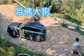 新哈佛大狗挑战成佛坡这表现怎么样视频封面