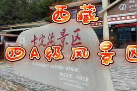 西藏唯一的四A级自然风景区悬崖峭壁瀑布飞泻竹树成林非常冮观！视频封面