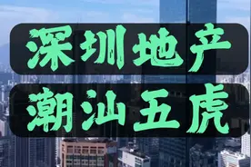 深圳地产界的潮汕五虎！个个是地产圈的江湖大佬！潮汕籍风云人物视频封面