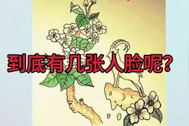 测测你的智商是：看到4张人脸的太普通，6张有点厉害，8张才是牛视频封面