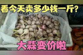山东大蒜变价啦，看今天早市大蒜卖多少钱一斤？看完你觉得贵吗？视频封面