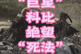 巨星科比的绝望“死法”视频封面